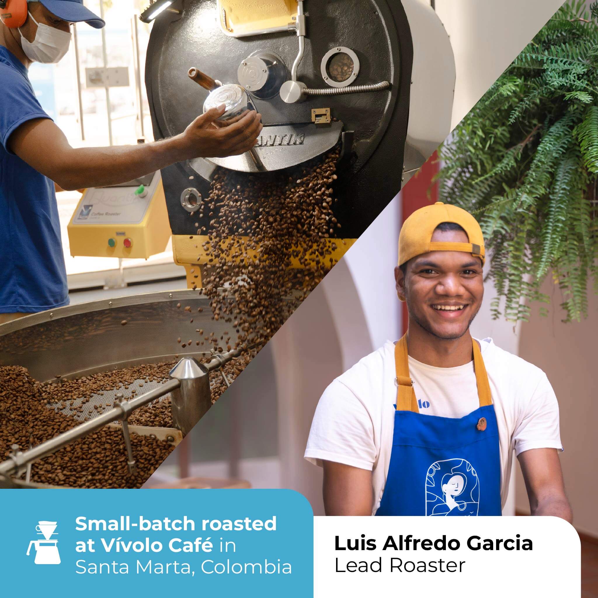 Bolsas de café de filtro especializadas