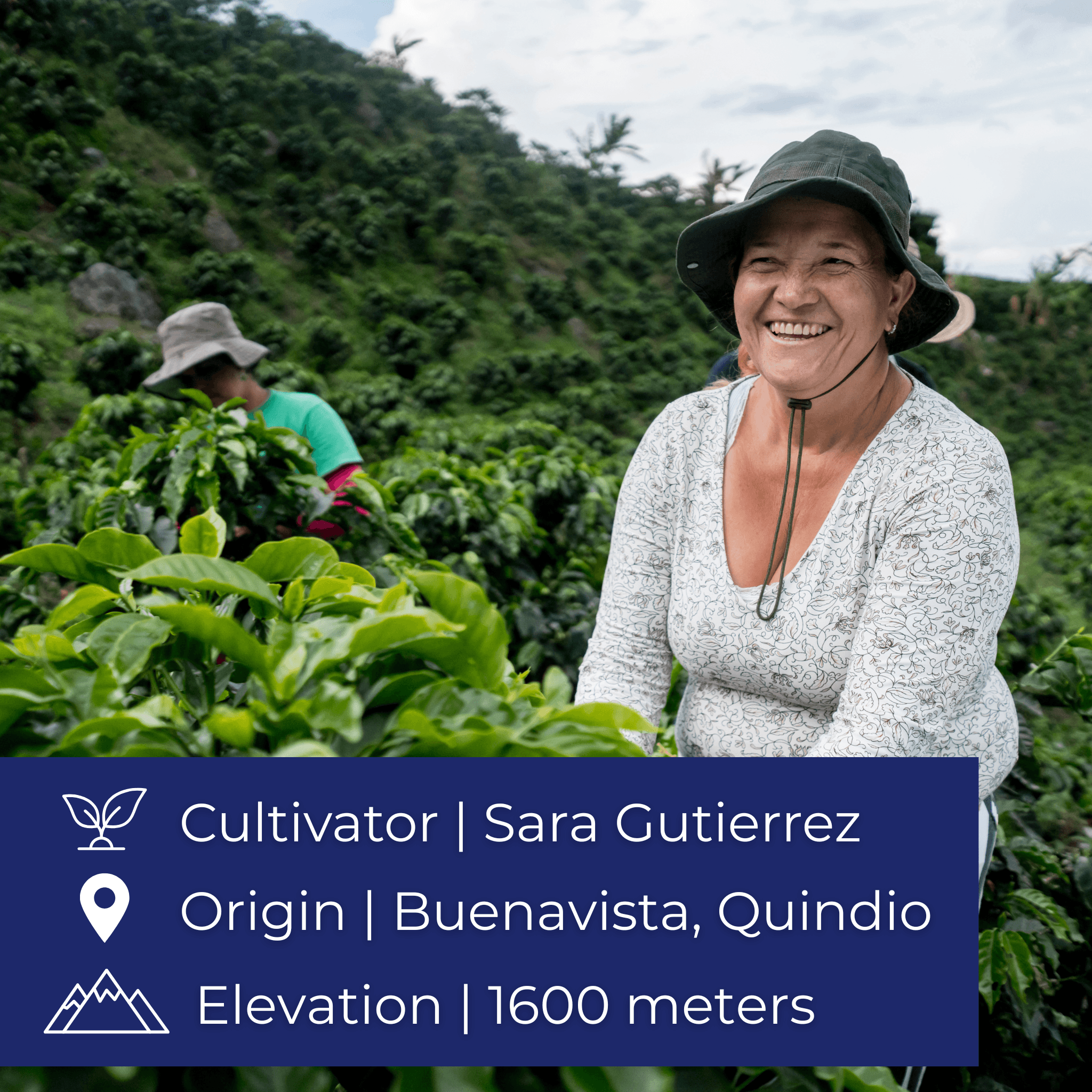 Reserve Select <br> Caturra, Black Honey <br>Luciana Valencia