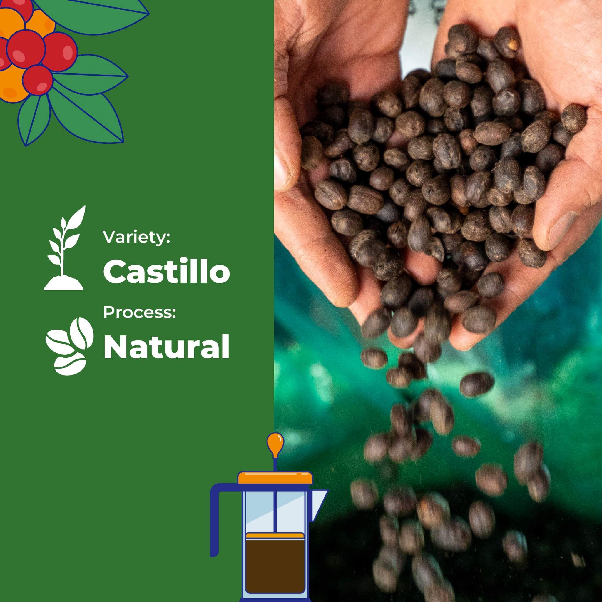 Reserve Select Castillo, Natural By Jaime Acosta