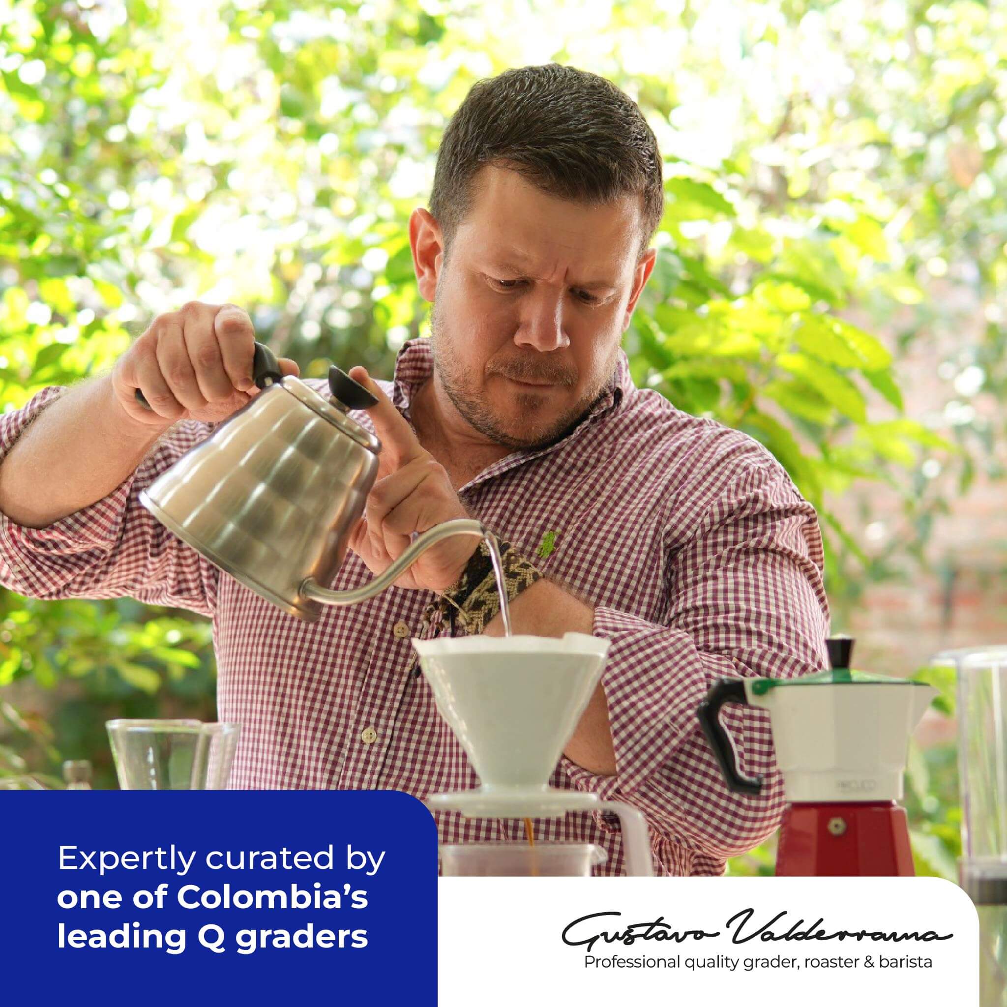 Sierra Nevada Castillo, Café Colombiano de Especialidad Lavado